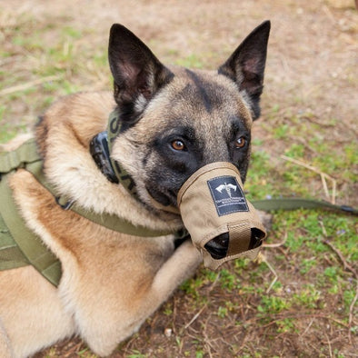 TacMed Solutions K9 Muzzle
