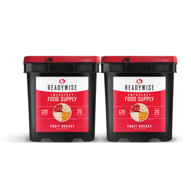 ReadyWise 240 Serving Freeze Dried Fruit Bundle