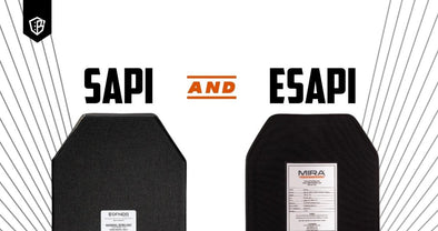 What are SAPI and ESAPI? - Bulletproof Zone