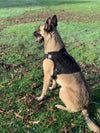 221B Tactical Artemis Dog Harness - Bulletproof Zone