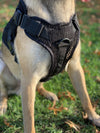 221B Tactical Artemis Dog Harness - Bulletproof Zone