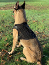 221B Tactical Artemis Dog Harness - Bulletproof Zone