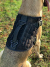 221B Tactical Artemis Dog Harness - Bulletproof Zone
