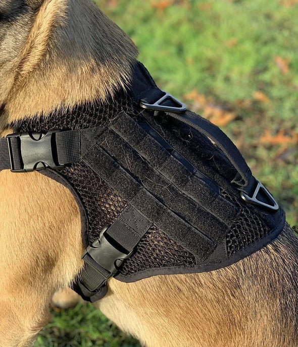 221B Tactical Artemis Dog Harness - Bulletproof Zone