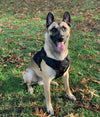 221B Tactical Artemis Dog Harness - Bulletproof Zone
