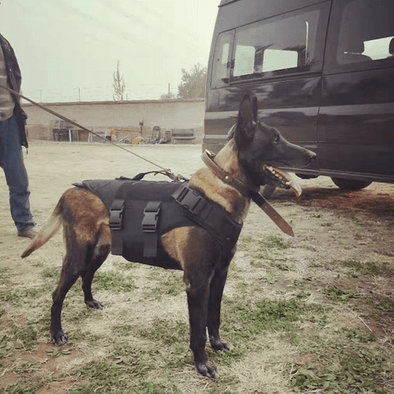 ExecDefense USA Dog Black (Canine / K9) Ballistic Vest (III - A) - Bulletproof Zone