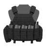 Warrior Assault Systems DCS DA 5.56mm Plate Carrier