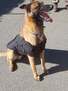 CompassArmor Tactical MOLLE Bulletproof Vest Harness Canine Black K9 Police Dog NIJ IIIA