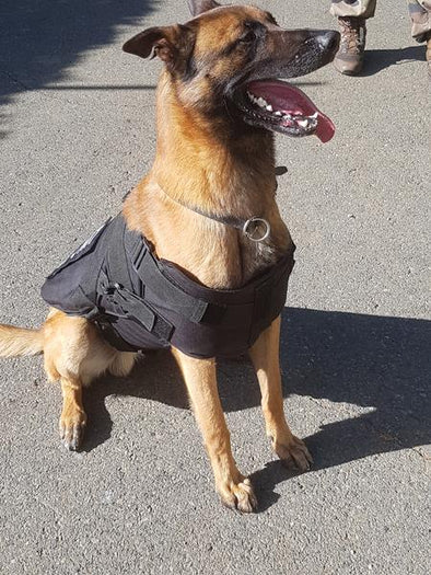 Military and Police K9 Tactical Gear