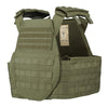 Sentinel Swimmers Plate Carrier in Green